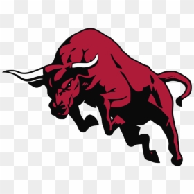 Bull Png, Transparent Png - cool png