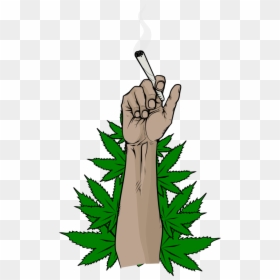 Png Weed, Transparent Png - marijuana png