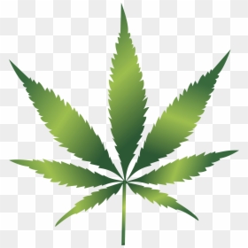Cannabis Leaf Clip Art, HD Png Download - marijuana png