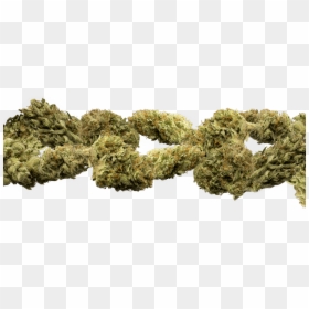 Moss, HD Png Download - marijuana png