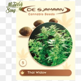 Thai Widow Strain, HD Png Download - marijuana png