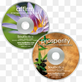 Affirmation And Prosperity Meditation Mp3s With Binaural - Cd, HD Png Download - theta png
