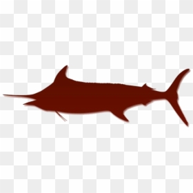 Marlin Vector Png - Swordfish, Transparent Png - marlin png