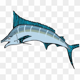 Sailfish Clipart Tribal Fish - Sailfish Clipart, HD Png Download - marlin png