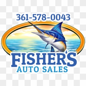 Marlin Clipart Sailfish - Fisher's Auto Sales, HD Png Download - marlin png