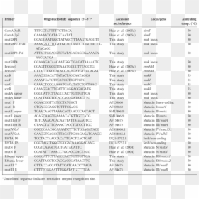 Document, HD Png Download - muk png