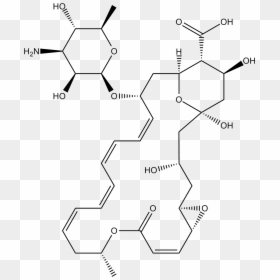 Diagram, HD Png Download - nv4 png