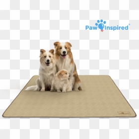 Puppy Paw Png -72" - ภาพ สุนัข พ่อ แม่ ลูก, Transparent Png - pee png