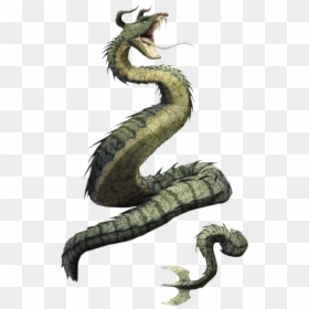 Dtpoo - Mythical Snake Creatures, HD Png Download - dragon tail png