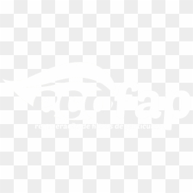 Graphic Design, HD Png Download - particulas png