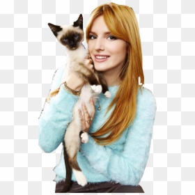 Siamese, HD Png Download - bella thorne png