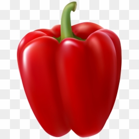 Bella Thorne Png, Transparent Png - bella thorne png