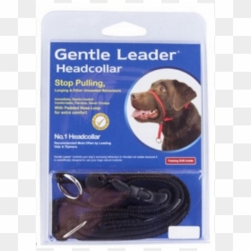 Lead Harness Gentle Leader, HD Png Download - viñeta png