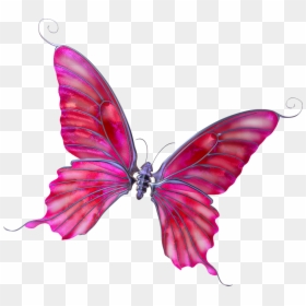 Dibujos De Mariposas Fondo Transparente, HD Png Download - eg2 png