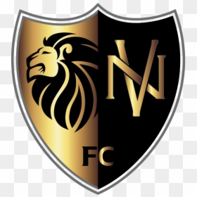 Nv Shield, HD Png Download - shield .png