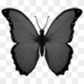 #emoji #butterfly #dark #black #sky #high - Black And White Butterfly Emoji, HD Png Download - black emoji png