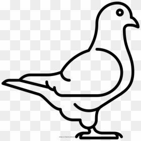 Transparent Palomas Png - White Pigeon Icon Png, Png Download - bird icon png