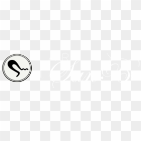 Art By San B - Calligraphy, HD Png Download - elvis presley signature png
