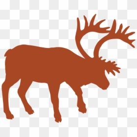 Animal Track Vector Graphics Muskox Reindeer - Silhouette North American Animal, HD Png Download - doe png