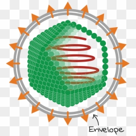 Icosahedral Enveloped Virus, HD Png Download - icosahedron png