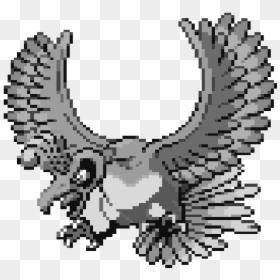 Hawk, HD Png Download - ho oh png