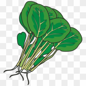 Hot Pot Leaf Vegetable Spinach Clip Art - Transparent Spinach Clipart, HD Png Download - pot leaf transparent png