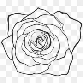 Clip Art Hand Drawn Roses - Hand Drawn Rose Png, Transparent Png - hand drawn border png