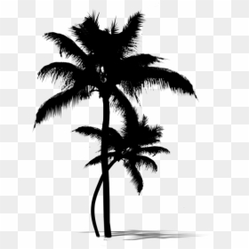 Asian Palmyra Palm Date Palm Leaf Palm Trees Silhouette - Island Palm Trees Silhouette Png, Transparent Png - tropical island png