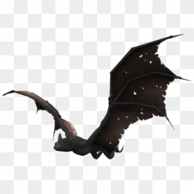 Transparent Vampire Bat Clipart - Giant Bat, HD Png Download - bat.png