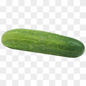 Winter-melon - Cucumber Png, Transparent Png - cucumbers png