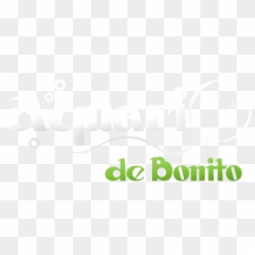 Bonito Ms - Canon, HD Png Download - wix png