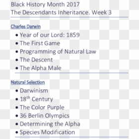 Screenshot, HD Png Download - black history png