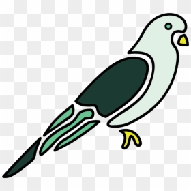 Budgie App Logo - Parrot, HD Png Download - budgie png