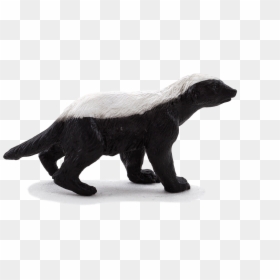 Honey Badger Png, Transparent Png - honey badger png