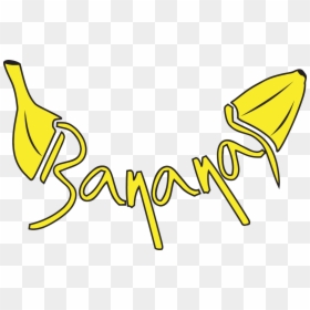 India Clipart Banana - Logo Bananas Png, Transparent Png - banana clipart png