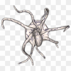 Dundjinni Octopus, HD Png Download - facehugger png