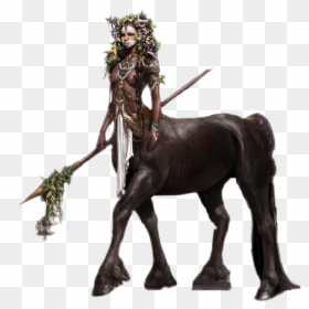 #taurus #tauros @liona4sonnet - Male Centaur Dnd Art, HD Png Download - tauros png