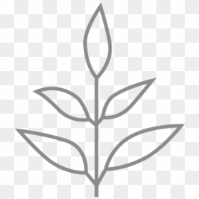 Livekindly Logo, HD Png Download - distress texture png