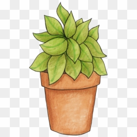 Pot Plant Clip Art, HD Png Download - plant.png