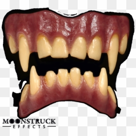 Fenrir Stained Purple Gums - Wolf Gums, HD Png Download - teeth.png