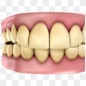 Fact And Myth About Health, HD Png Download - teeth.png