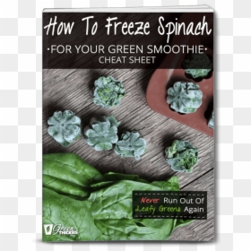 How To Freeze Spinach For Your Green Smoothie Cheat - Superfood, HD Png Download - green smoothie png