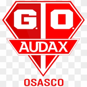 Grêmio Osasco Audax Esporte Clube, HD Png Download - palmeiras png