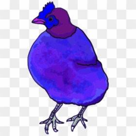 Vector Clip Art - Pink Chicken Png, Transparent Png - chicken vector png