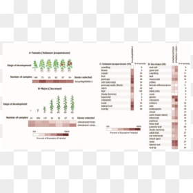 Screenshot, HD Png Download - gene png