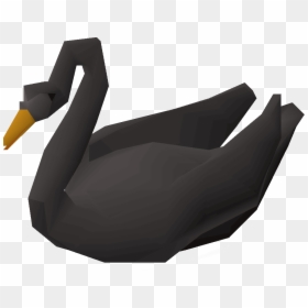 Duck, HD Png Download - black swan png