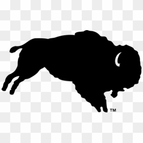 Colorado Buffaloes Old Logo, HD Png Download - colorado buffaloes logo png