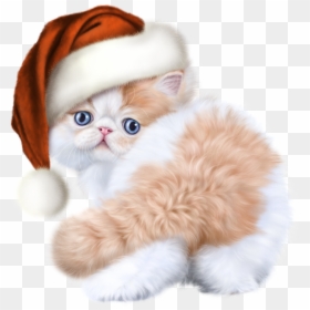 Transparent Kittens Clipart - Kittens Clip Art, HD Png Download - kitten clipart png