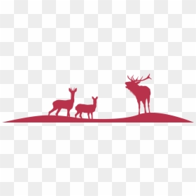 Transparent Deer Tracks Png - Roe Deer, Png Download - deer tracks png