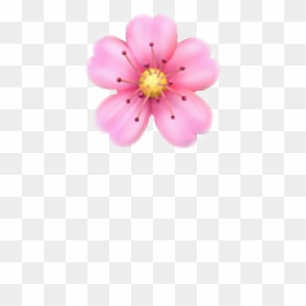 Cherry Blossom Emoji Png, Transparent Png - sunflower emoji png